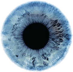 Eyes Cool Eye Blue Eyeball Transparent - Eyes Color Png