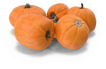 Pumpkin Patch Png Transparent Hd Photo Mart - Gourd