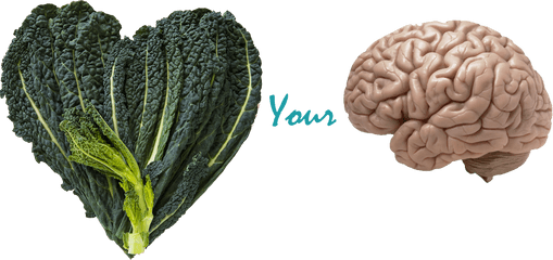 Benefits Of Kale Your Brain - Human Brain Realistic Png