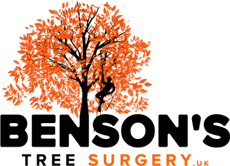 Bensonu0027s Tree Surgery Ltd U2013 Arborist And Surgeon - Tree Surgery Logo Png