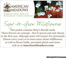 Baby Shower Seed Packet American Meadows - Christmas Eve Cayena Png