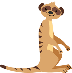 Library Of Meerkat Mustache Clipart - Meerkat Clipart Transparent Background Png
