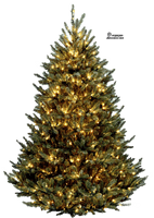 Christmas Tree Free Png Image