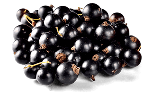 Currant Berries Black Free Transparent Image HD - Free PNG