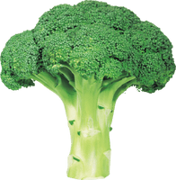 Broccoli Png Image With Transparent Background