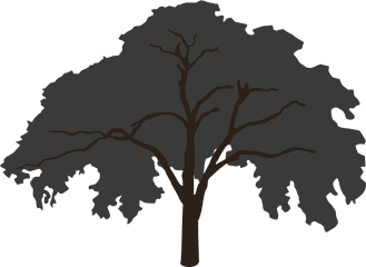 Tree Silhouette Big - Forest Tree Silhouette Big Png