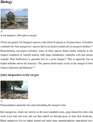 Biology Of Mangrove - Tree Png