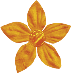 Spookalicious - Little Orange Flower Graphic By Sheila Reid Soft Png