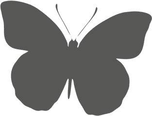 Butterfly Silhouette Icon - Mariposa Icono Png