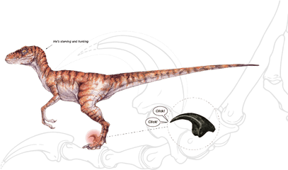 Raptor - Lost World Jurassic Park Velociraptor Png