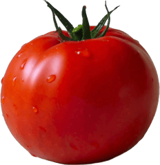 Free Psd And Png Downloads - Tomato Png