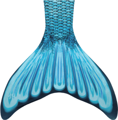 Mermaid Blanket Png Picture - Kid Mermaid Tails