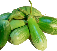 Photos Green Brinjal Free HD Image - Free PNG