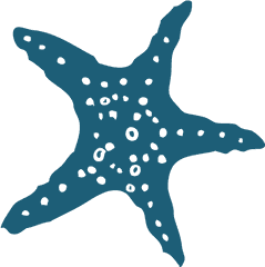 Cropped - Seastar1e5d7608png U2013 Massage Therapy By Dana Starfish