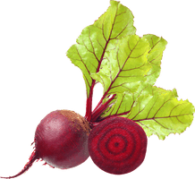 Beetroot Sliced Leaves Green Download HQ - Free PNG