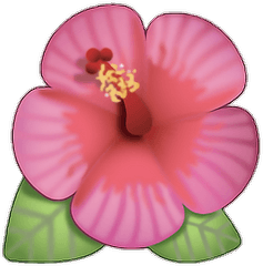 Flor Emoji Rosa Ed Cute Png Flower Cool - Hibiscus Flower Emoji Png