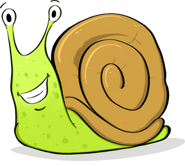 The Argonaut U2013 A Fresh Look - Washington State Invertebrate Mollusk Png