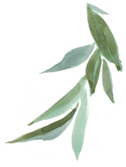 Hand Painted Green Leaves Falling Transparent Decorative - Transparent Background Painted Leaves Png