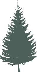 Graygreen Pine Tree Svg Vector Clip Art - Pine Tree Silhouette Png