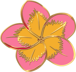 Plumeria Flower Pin - Flower Pin Transparent Png