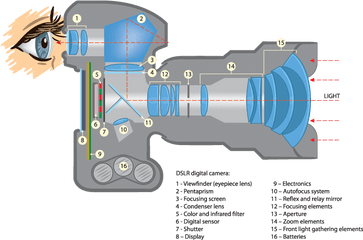 Dslr Vs Mirrorless Cameras - Dslr Camera Parts Png