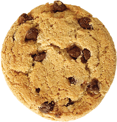 The Annual Cookie Sale To Combat World Hunger - Cookie Monster Party Ideas Png