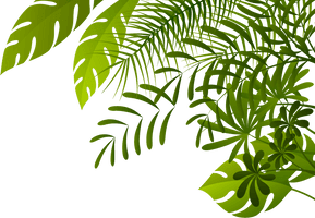 Jungle Image - Free PNG