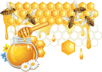 Bee Png - Bee Honey