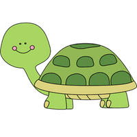 Cute Turtle Photo - Free PNG