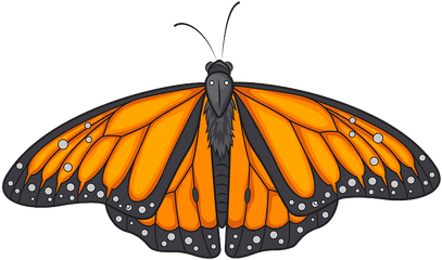 Monarch Butterfly Clipart - Monarch Butterfly Png