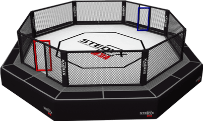 Ufc Octagon Transparent Free Png - Ufc Octagon Transparent