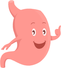 Fenulife - Healthy Happy Stomach Png