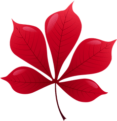 Red Leaf Png Clip Art Autumn Leaves Photography - Red Leaf Png