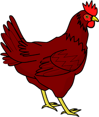 Chicken Png Transparent Image - Hen Clipart