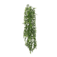 Leaves Green Ivy Hanging Download HD - Free PNG