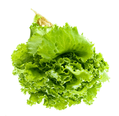 Salad Leaf Png Image - Lettuce Salad Transparent Background