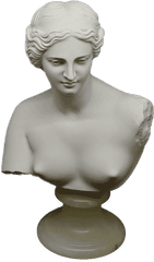 Aphrodite Of Milos H 22 Cm Bust - Bust Png