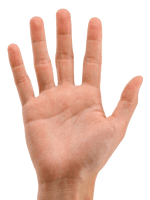 Hands Png 3