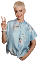 Hair Katy Perry Short Free Download Image - Free PNG