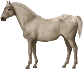 Download Mare Horse American Morgan Mustang Quarter Hq Png - White Horse Png