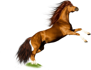 Running Horse Png Picture - Horse Png