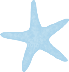 Starfish - Palm Beach Sandals 7 Png