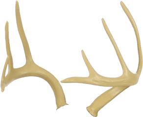 Deer Antlers Transparent Png Clipart - Antler