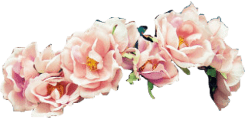 Pink Flower Crown Png Transparent Images U2013 Free - Pink Flower Crown Png