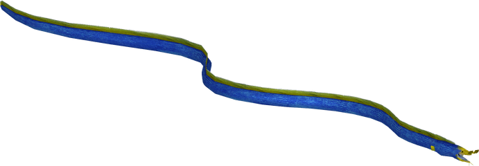 Ribbon Eel - Vertical Png