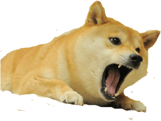 Doge Transparent Png 3 Image - Transparent Background Angry Doge Png