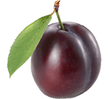 Plum Png Image