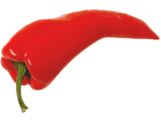 Red Chili Pepper Png Image