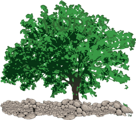 The Shawshank Oak Tree Ltd - Welcome To Shawshank Oak Png