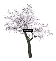 Download Hd Cherry Tree - Spring Trees Png Transparent Png Cherry Blossom Tree Drawing Black And White